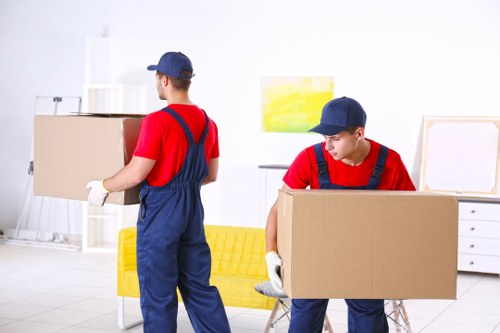 Man and van team preparing a safe move with equipment and careful planning
