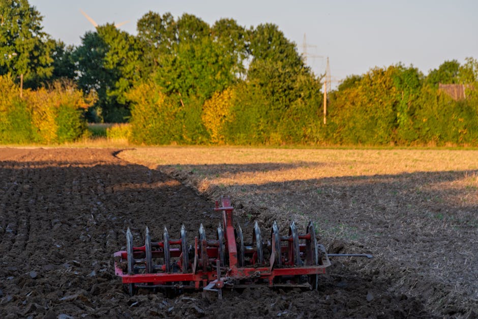 A red cultivator attachment with metal tines is positioned on freshly tilled dark brown soil in an open field, with visible tire tracks marking the soil, and the machine is ready for operation. In the background, there are lush green trees and bushes, with sunlight casting long shadows across the ground. The scene appears to be outdoors in a rural or semi-rural area, suitable for a home relocation or moving service involving agricultural or outdoor equipment. Though no vehicles or transport elements are directly visible in this image, the context suggests the process of preparing land for moving or setting up a site, aligning with the themes of packing, loading, or furniture transport associated with house removals. The environment is well-lit with natural light, emphasizing the details of the farming equipment and the surrounding greenery, as seen in images used for guides on parking rules for removals vans on moving day.