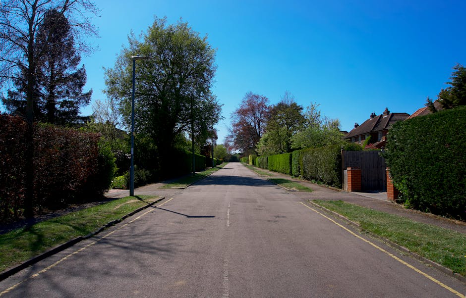 A quiet residential street during daytime, with a clear blue sky overhead. The asphalt road is flanked by green hedges and trees, some with fresh spring foliage, and bordered by sidewalks. On the right side, there are brick houses with pitched roofs partially visible behind tall, well-maintained hedges and wooden gates. A single streetlight pole stands on the left side, casting a shadow on the pavement. The street appears calm and free of traffic, suitable for home relocation or furniture transport activities. This setting reflects a typical suburban area where local removals companies, such as Harrow Man and Van, may carry out house removals and moving services, particularly when navigating access solutions for tight drives as referenced in the page titled 'Headstone Lane removals access solutions for tight drives, HARROW.' The scene emphasizes the importance of careful planning for loading and unloading in residential areas.