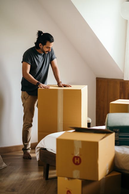 A man with dark curly hair and a beard is standing inside a bright, minimally furnished room with white walls and large arched windows, holding a cardboard box in his right hand. He is dressed in a navy blue T-shirt and dark trousers, with a jacket tied around his waist. The room features light wood flooring and appears to be part of a home undergoing packing and moving, as indicated by the presence of two sealed cardboard boxes on the floor, one of which is being lifted for furniture transport or home relocation. The natural daylight coming through the windows illuminates the space, and the scene depicts the packing and loading process typical of house removals, possibly carried out by a local moving service such as Harrow Man and Van. The overall setting suggests an organized and professional approach to packing and moving for flats or houses, consistent with the services highlighted on the page about Wealdstone man and van packing and moving for flats.